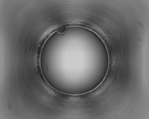 X0000115840978200911131527