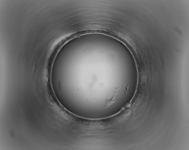 X0000115840979200911131527