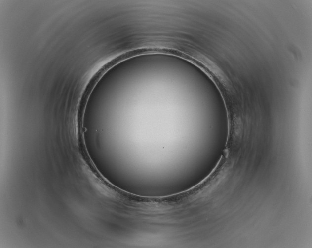 X0000115840980200911131527