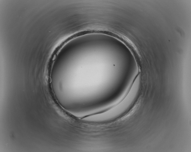 X0000115840981200911131527