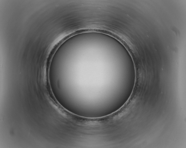 X0000115840982200911131527