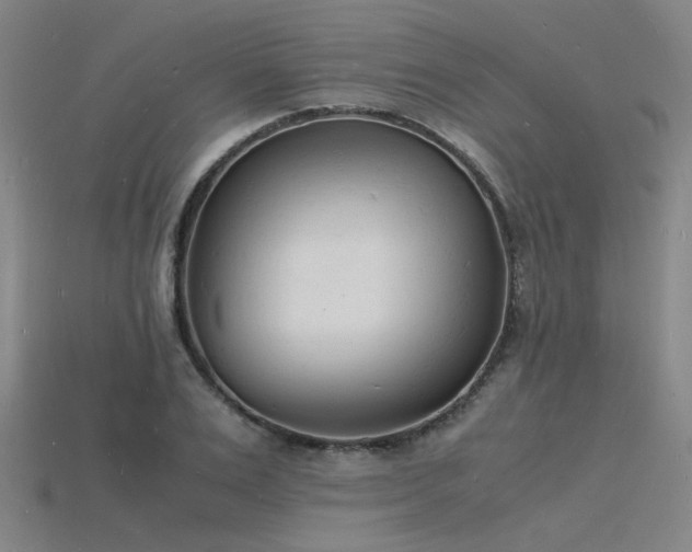 X0000115840983200911131527