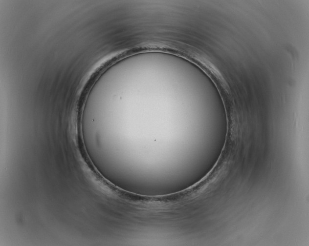 X0000115840984200911131527