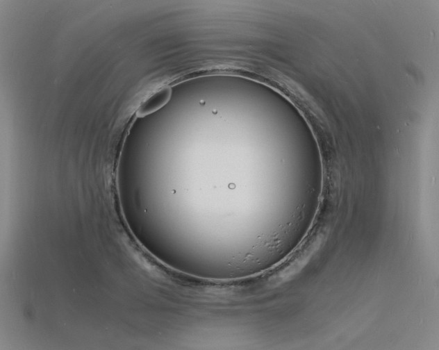 X0000115840985200911131527