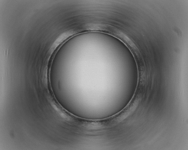 X0000115840986200911131527