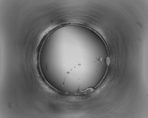 X0000115840987200911131527