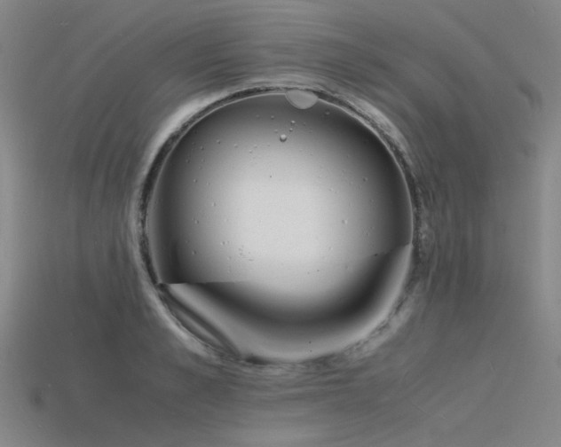 X0000115840989200911131527