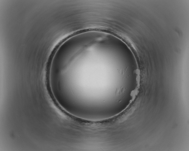 X0000115840991200911131527