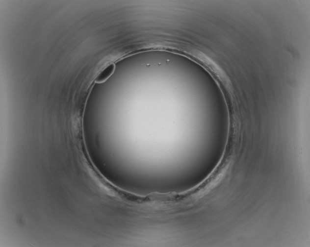 X0000115840993200911131527