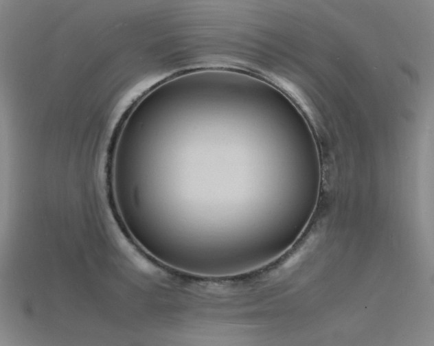 X0000115840995200911131527