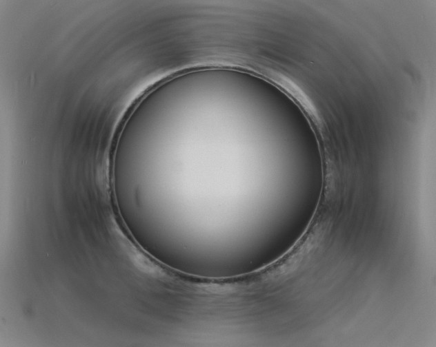 X0000115840996200911131527