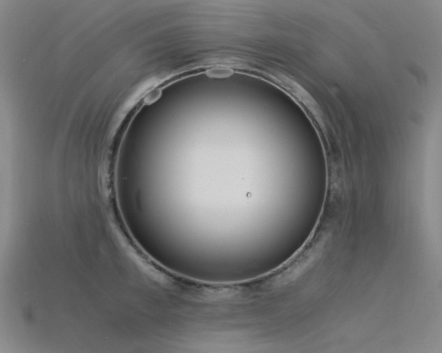 X0000115840997200911131527