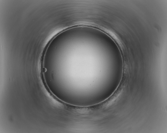 X0000115840999200911131527