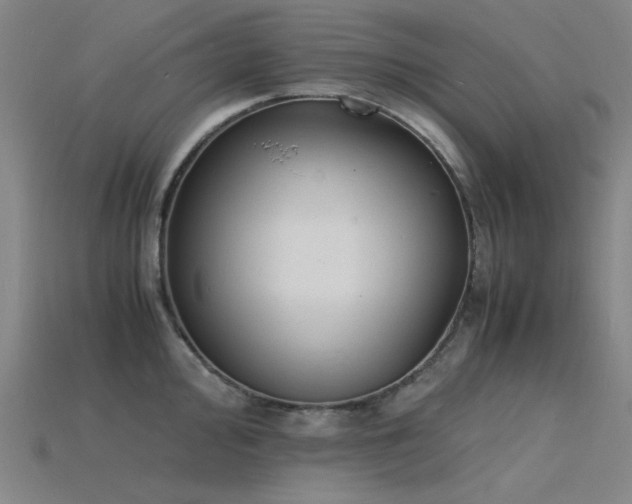 X0000115841000200911131527