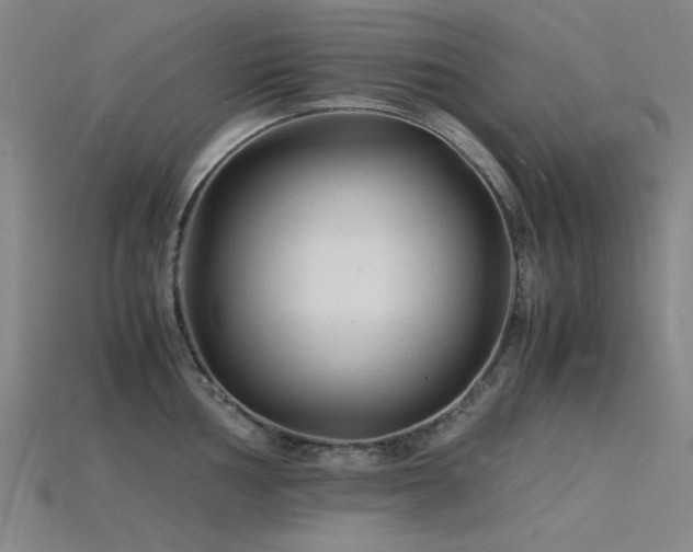 X0000115841002200911131527