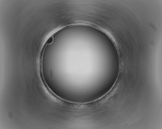X0000115841003200911131527