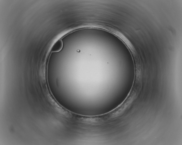 X0000115841004200911131527