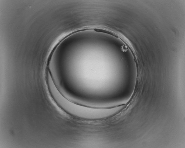 X0000115841005200911131527