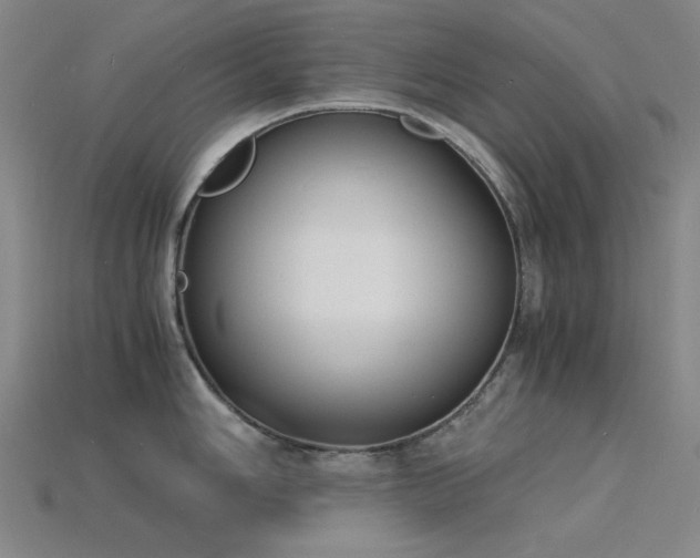 X0000115841006200911131527