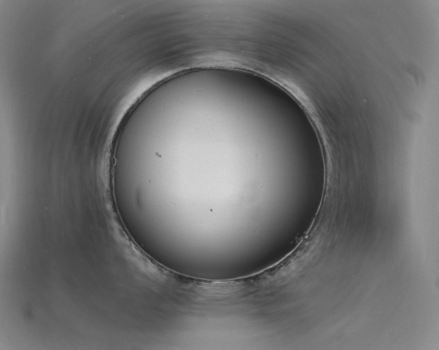 X0000115841008200911131527