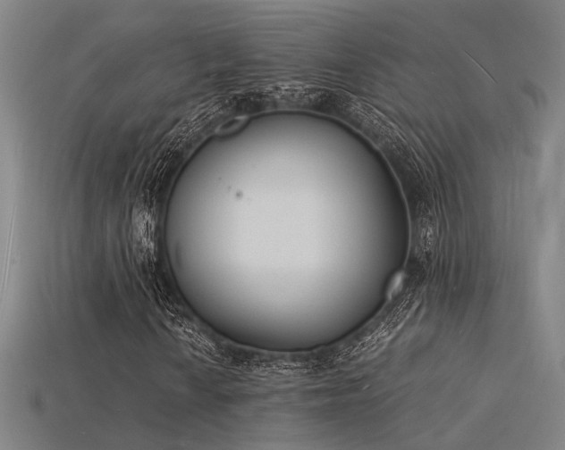 X0000115841010200911131526