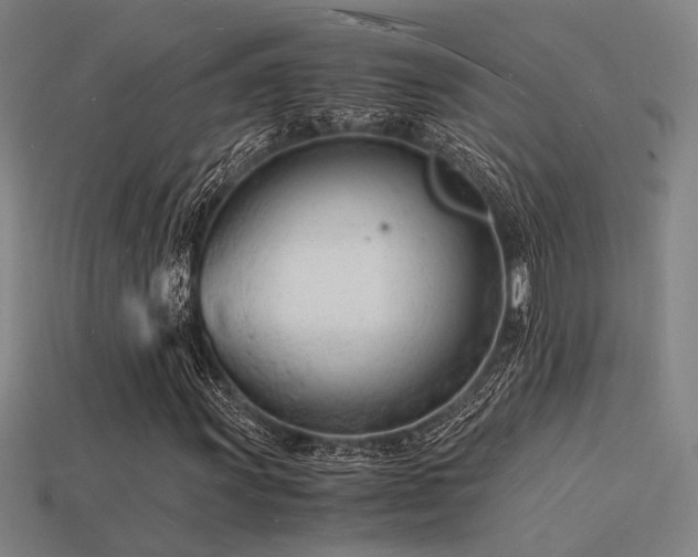 X0000115841011200911131526