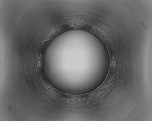 X0000115841012200911131526