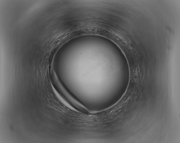 X0000115841013200911131526