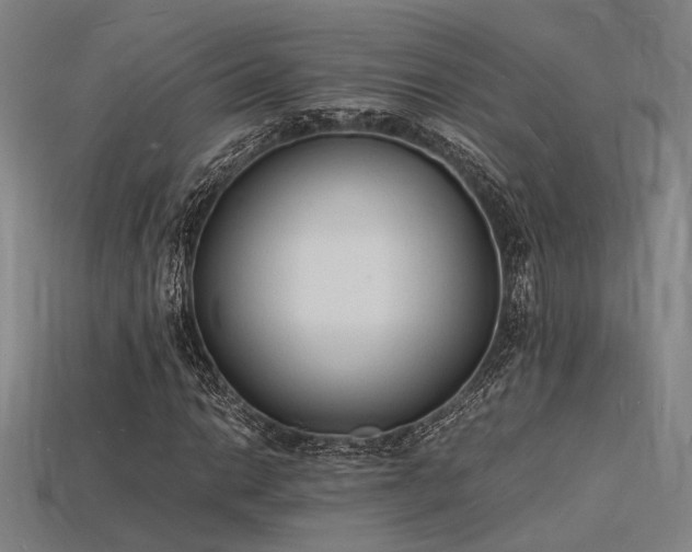 X0000115841014200911131526
