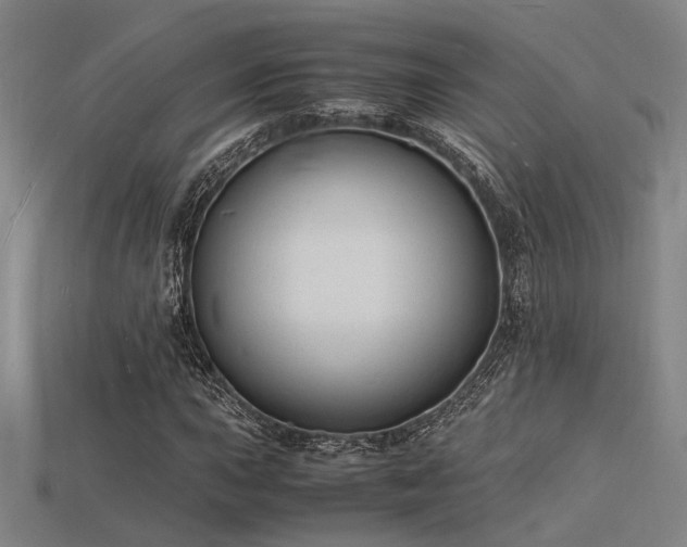 X0000115841015200911131526