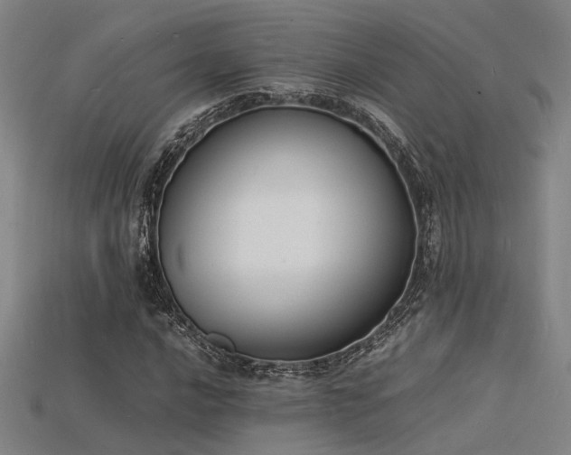 X0000115841016200911131526