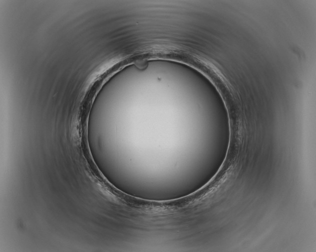 X0000115841018200911131526