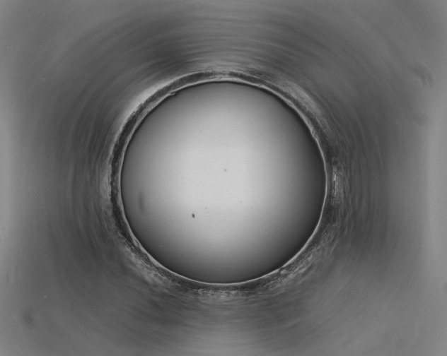 X0000115841020200911131526