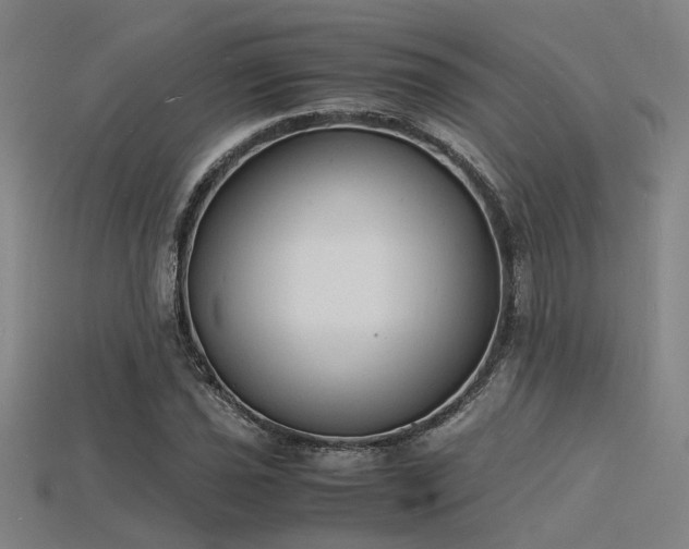 X0000115841021200911131526