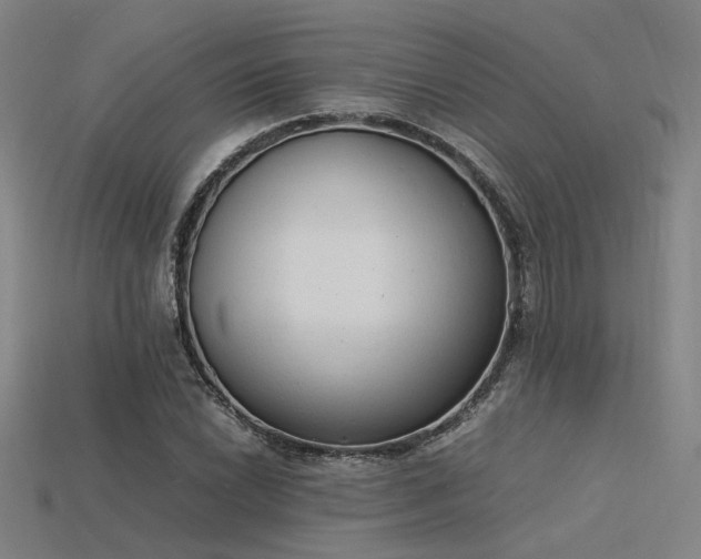 X0000115841022200911131526