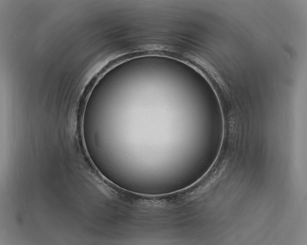 X0000115841023200911131526