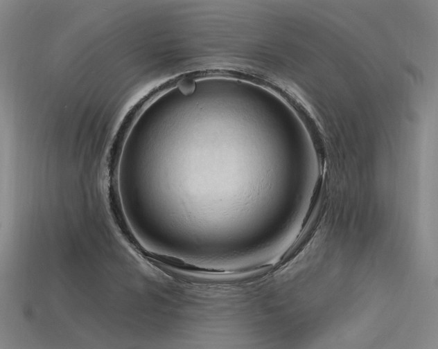 X0000115841024200911131526