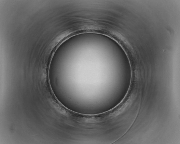 X0000115841025200911131526