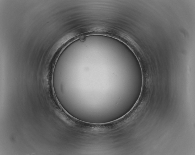 X0000115841026200911131526