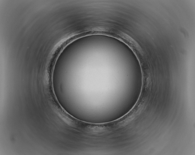 X0000115841027200911131526