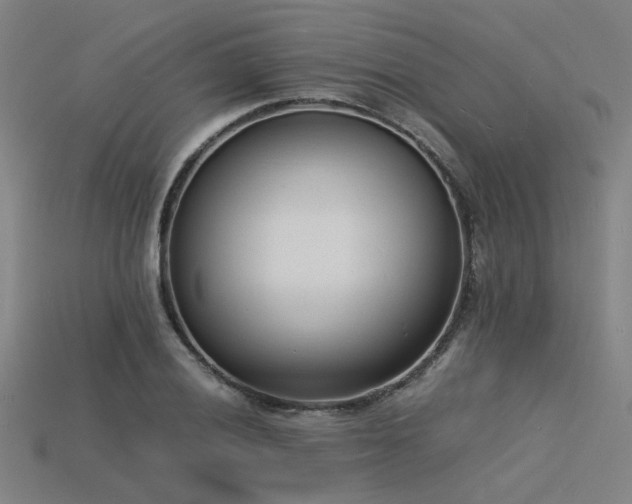 X0000115841028200911131526