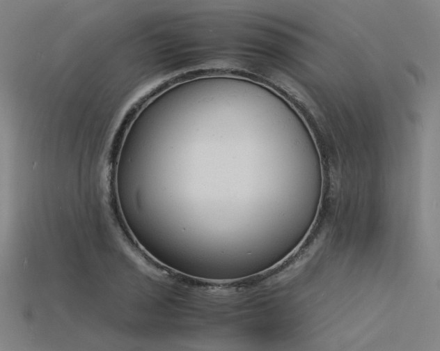 X0000115841029200911131526