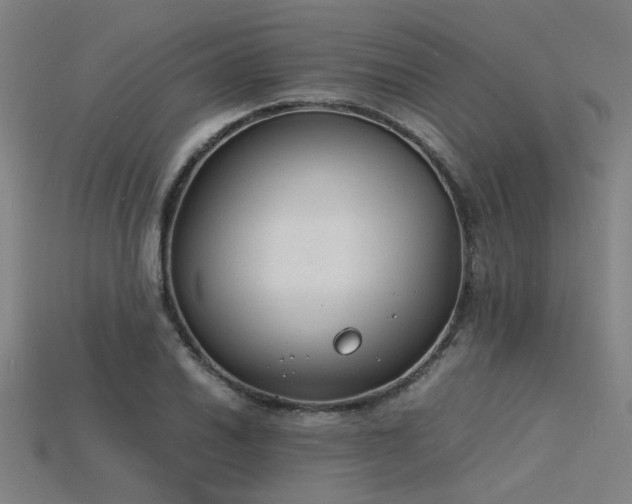X0000115841030200911131526