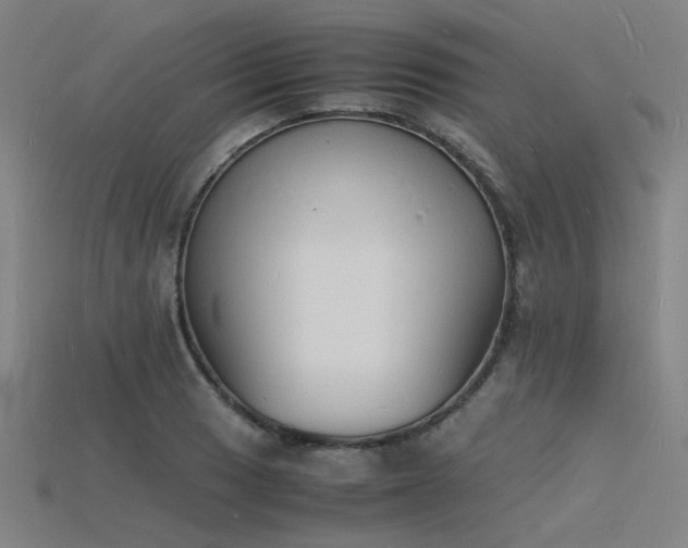 X0000115841033200911131527