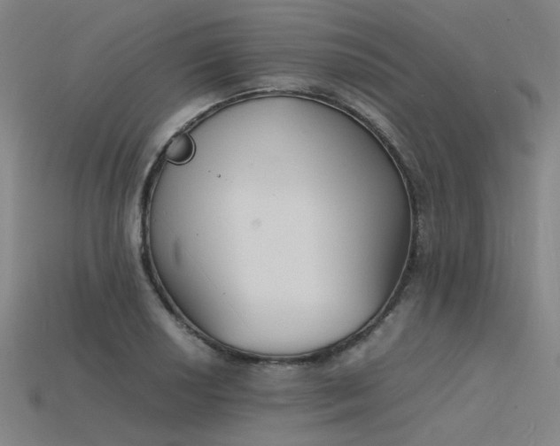 X0000115841034200911131527