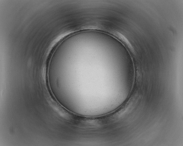 X0000115841035200911131527
