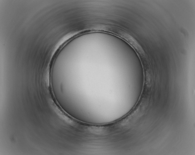 X0000115841036200911131527