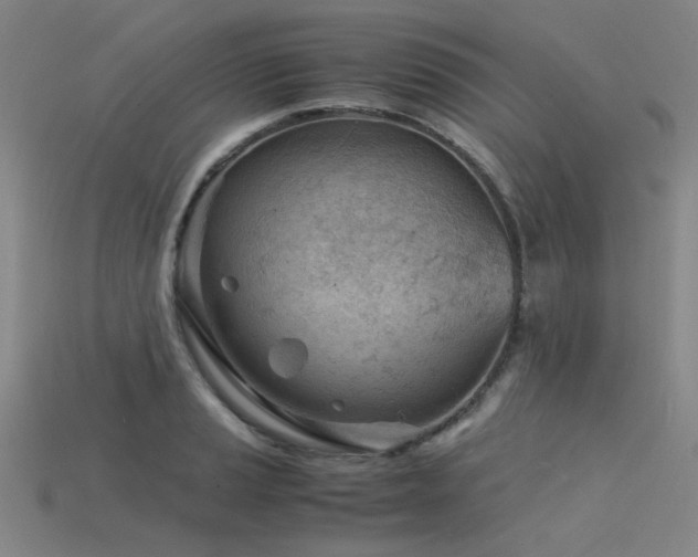 X0000115841037200911131527