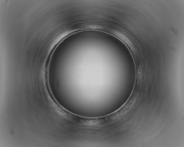 X0000115841047200911131527