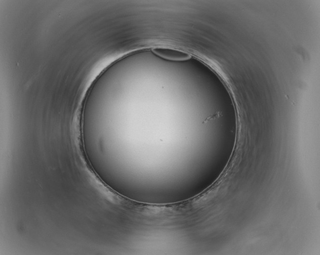 X0000115841056200911131527